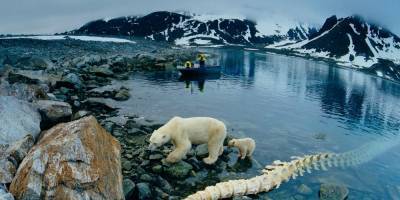 Еще одна страна претендует на ресурсы Арктики