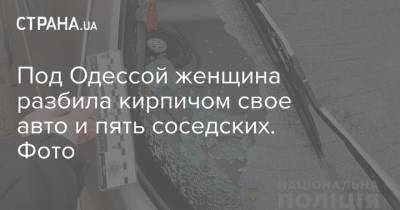 Под Одессой женщина разбила кирпичом свое авто и пять соседских. Фото