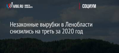 Незаконные вырубки в Ленобласти снизились на треть за 2020 год