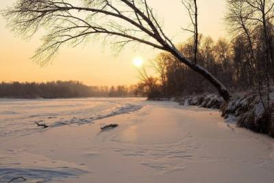 Прогноз погоды в Псковской области на 12 февраля: мороз и солнце