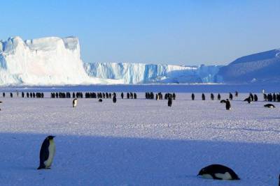 Льды Антарктиды тают из-за источника геотермальной активности