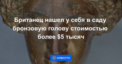 Британец нашел у себя в саду бронзовую голову стоимостью более $5 тысяч