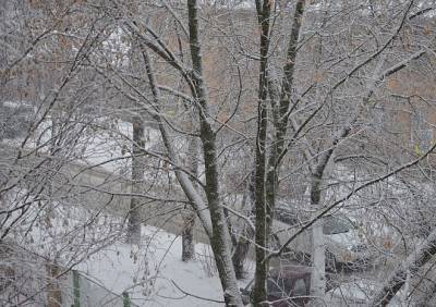 В пятницу в Рязанской области потеплеет до -1 °С