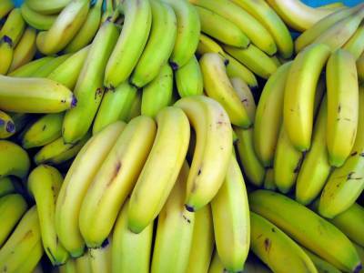 Ритейлеры отметили отсутствие проблем с поставками бананов в Россию nbsp