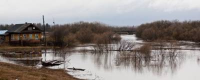 В Воронежской области готовятся к возможным весенним паводкам