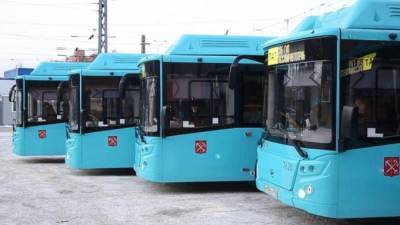 В разных районах Петербурга на маршруты выйдут 65 новых экологичных автобусов