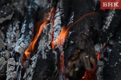 Сосногорский детский сад предал огню овсянку