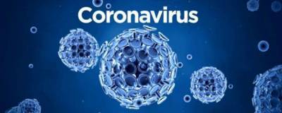 В Калининградской области выявлены еще 162 заразившихся коронавирусом