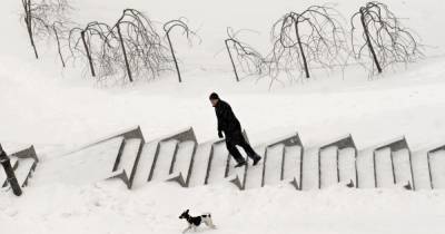 Снег, метели и порывистый ветер: прогноз погоды в Украине на пятницу, 12 февраля