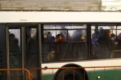 В Петербурге стало на 65 экологичных автобусов больше