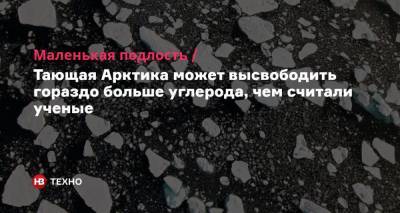 Маленькая подлость. Тающая Арктика может высвободить гораздо больше углерода, чем считали ученые