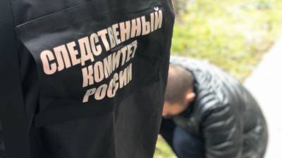 Новгородскими следователями проводится проверка в отношении «мусорных коллекторов»