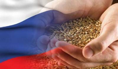 Россия нарастила экспорт продукции АПК до $ 30,4 миллиарда