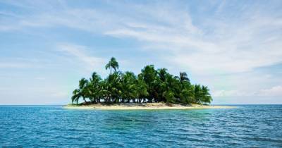 "Робинзоны": трое кубинцев провели месяц на необитаемом острове, питаясь кокосами и крысами - tsn.ua - США - Куба - шт.Флорида - Багамы - Ангилья