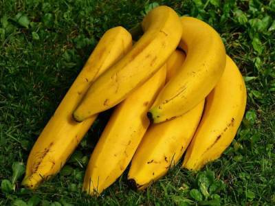 Бананы в России могут резко подорожать nbsp