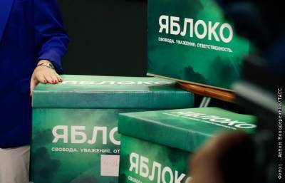 Бюро партии "Яблоко" поддержало статью Явлинского о Навальном