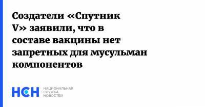 Ильдар Аляутдинов - Владимир Гущин - Создатели «Спутник V» заявили, что в составе вакцины нет запретных для мусульман компонентов - nsn.fm - Москва