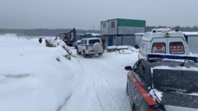 Уголовное дело возбудили после обнаружения тел пяти рабочих в Солнечногорске