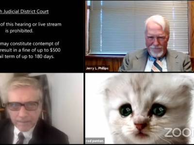 Адвокат появился на онлайн-заседании суда в маске котенка и до слез рассмешил Сеть