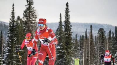 Шведская лыжница о чешке, которая упала после контакта с Фалеевой: поделом ей
