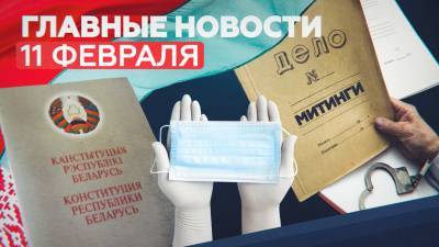 Новости дня 11 февраля: 90 уголовных дел, белорусская Конституция, масочный режим — RT на русском