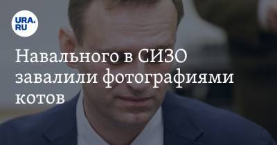 Навального в СИЗО завалили фотографиями котов. Скрин