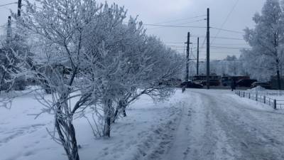 В Новосибирской области продолжатся сильные морозы