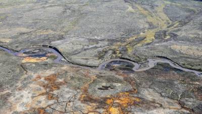 Красноярские власти потребовали от «Норникеля» возместить ущерб природе