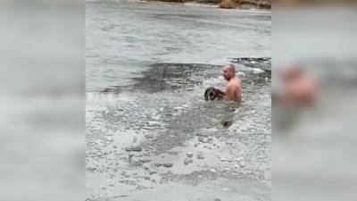"Ледокол пришел": тонущую собаку спас "морж". Видео