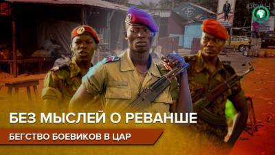 Правящая партия ЦАР подтвердила бегство боевиков перед натиском армии страны