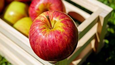 Яблоки могут стимулировать производство новых клеток мозга