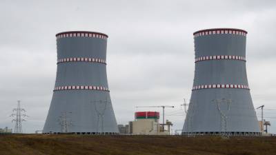 ЕП призвал приостановить запуск Белорусской АЭС