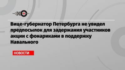 Вице-губернатор Петербурга не увидел предпосылок для задержания участников акции с фонариками в поддержку Навального