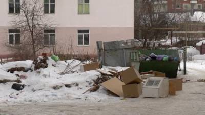 Жители улицы Крупской пожаловались на вечный бардак у мусорки