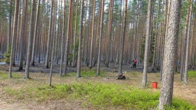Полиция пресекла контрабанду леса в Восточной Сибири