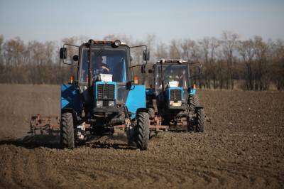 «Лучше бы отменили пошлины»: глава фермерского хозяйства ответил Минсельхозу на просьбу пустить в Россию мигрантов для сезонных работ в поле