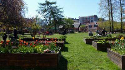 Городские огороды: новый агротренд захватывает Европу