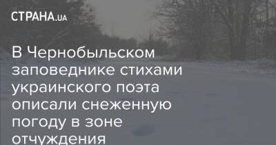 В Чернобыльском заповеднике стихами украинского поэта описали снеженную погоду в зоне отчуждения