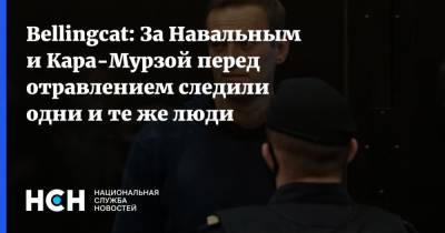 Bellingcat: За Навальным и Кара-Мурзой перед отравлением следили одни и те же люди