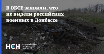 В ОБСЕ заявили, что не видели российских военных в Донбассе
