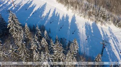 Норвегия не примет лыжные соревнования в текущем сезоне из-за коронавируса