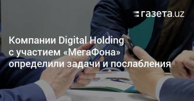 Какие задачи и послабления у Digital Holding с участием «МегаФона»