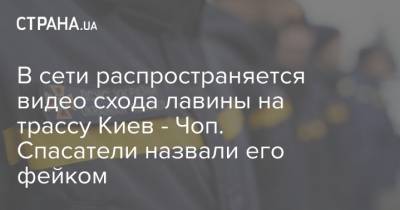 В сети распространяется видео схода лавины на трассу Киев - Чоп. Спасатели назвали его фейком