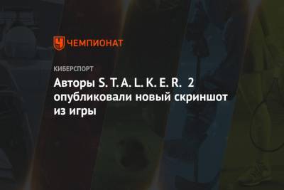 Авторы S.T.A.L.K.E.R. 2 опубликовали новый скриншот из игры