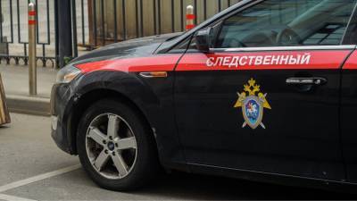 В Петербурге задержали подозреваемого в домогательствах к школьнице учителя
