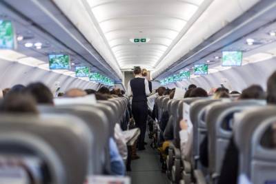 Важна ли фигура в работе стюардессы: ответ работницы авиакомпании