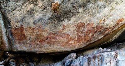 Жуткие фигуры, напоминающие НЛО были найдены в танзанийском заповеднике (фото)