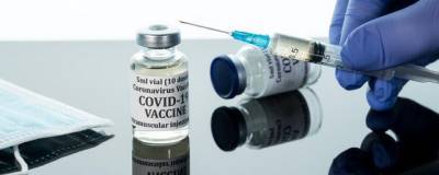 В Черногории одобрили поставку российской вакцины «Спутник V»
