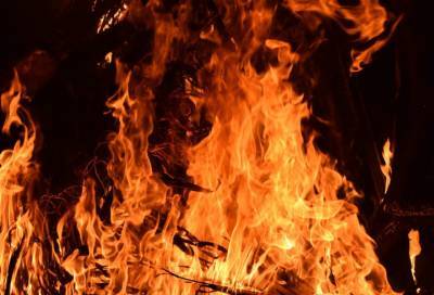 Обгоревший труп мужчины был найден на пепелище под Выборгом