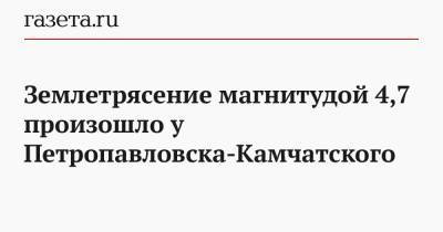 Землетрясение магнитудой 4,7 произошло у Петропавловска-Камчатского
